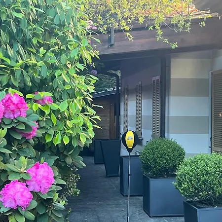 Lakeview And Pool Stresa